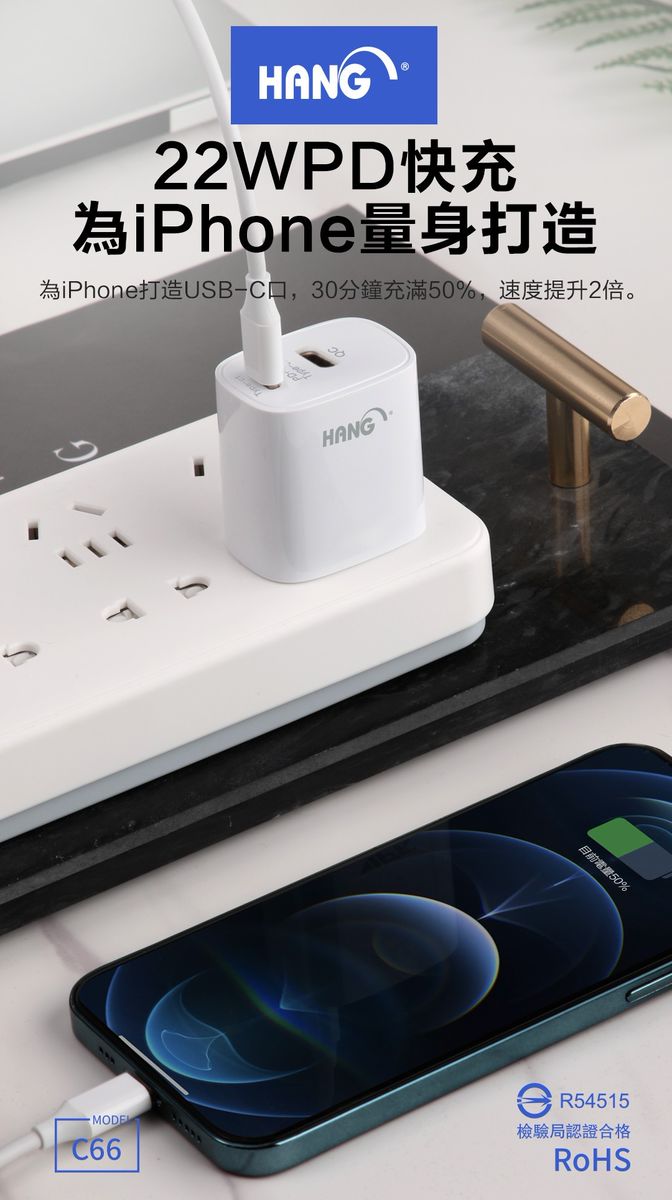 HANG|C66 雙Type-C快充頭 PD + QC 3.0 22W