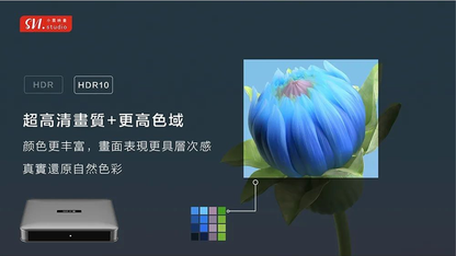 SVICLOUD｜小雲電視盒 10P+
