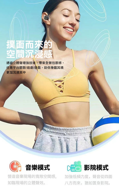 AWEI｜ TZ6 OWS ENC抗噪真藍牙耳機